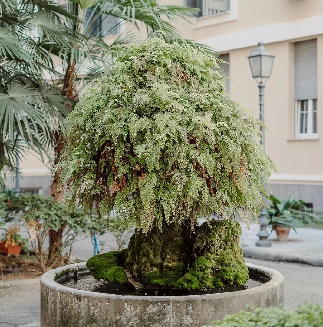 Valentine'S Dream Apartment Rome
